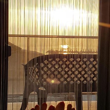 Apartament Andy Mamaia Nord 30 M De Plaja Năvodari Esterno foto